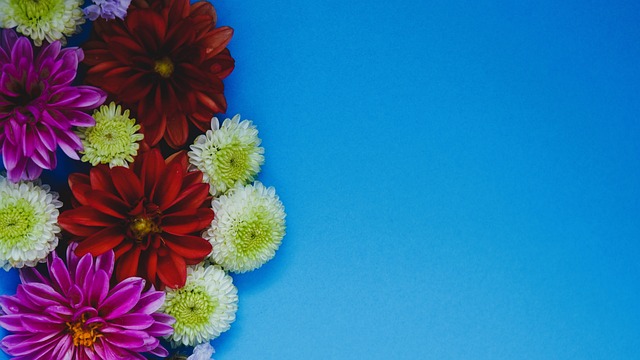 记者：曼联希望姆伯莫12月21日踢完维拉后再去参加非洲杯