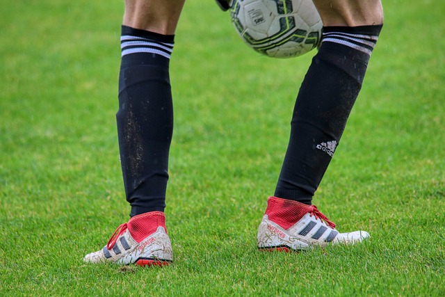 江苏队主场守住胜利